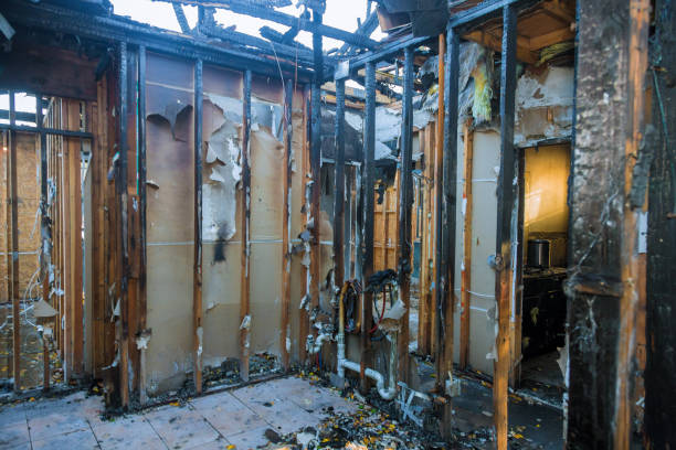 Professional Soot Cleanup technician working in Montrose-Ghent, OH